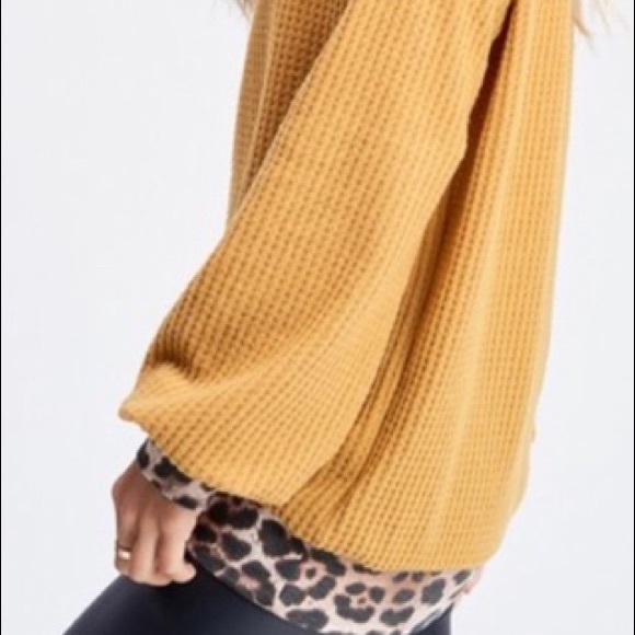 Cheetah Trim V-neck sweater top - Picture 6 of 7